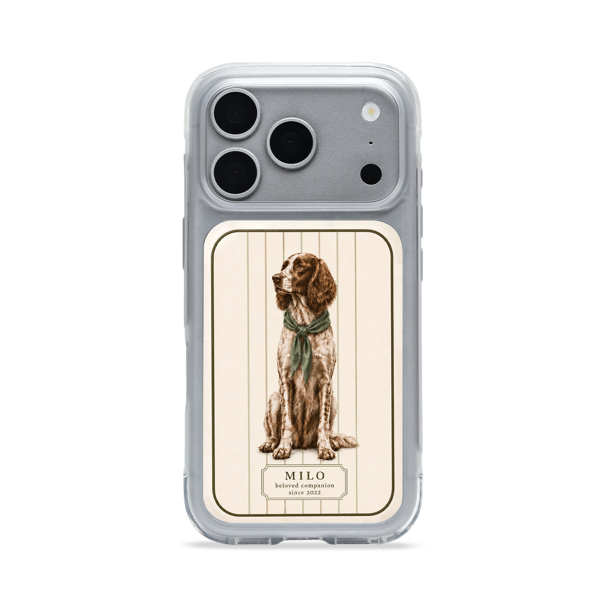CASECASE STRIPE Series Custom iPhone Case